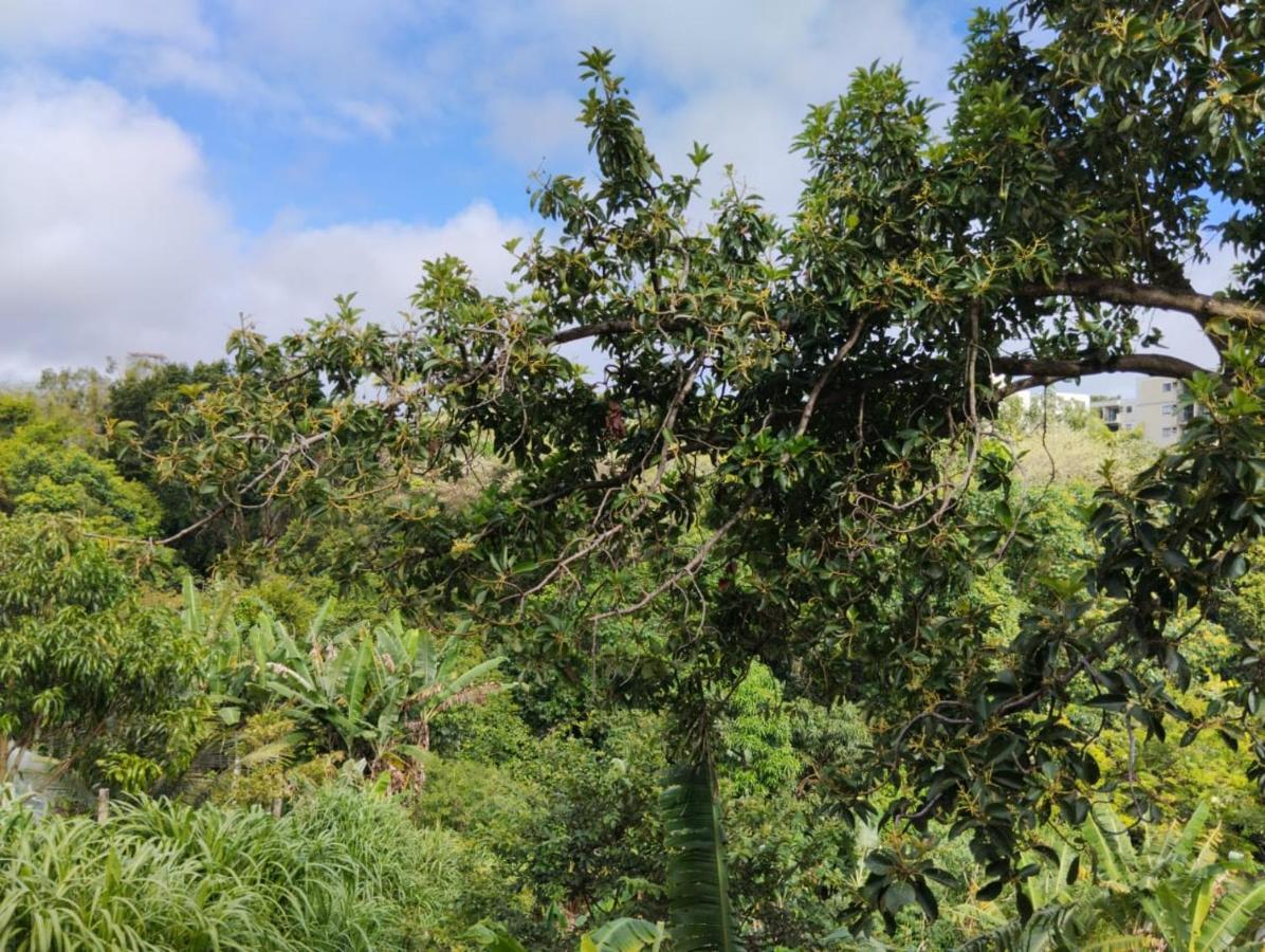 Apartamento Cercado Por Natureza E Diversao Maceió Εξωτερικό φωτογραφία